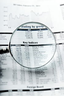 百色同志供卵选性别：nt值偏高风险大吗下一步检查什么？